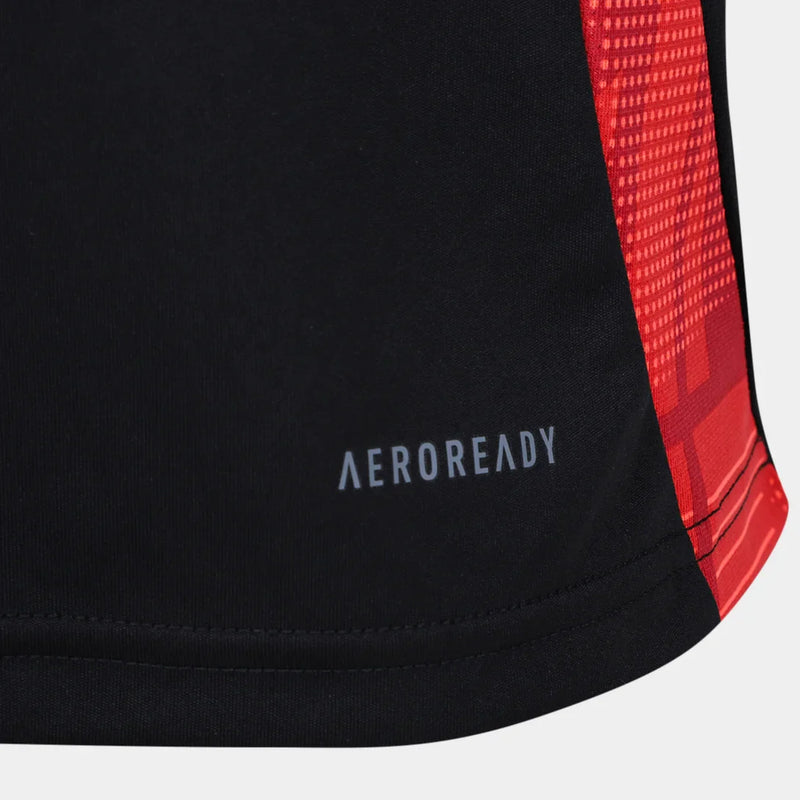 Internacional ADIDAS Training Football Shirts  2025/26