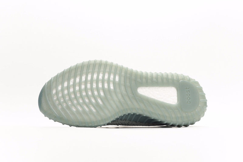 Adidas Yeezy Boost 350 V2